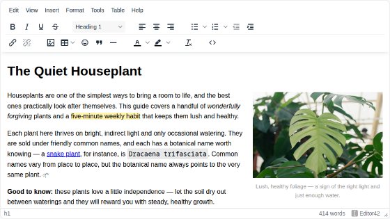 Editor42 WYSIWYG HTML editor with a formatted article